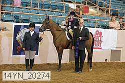 14yn_20274 thumbnail