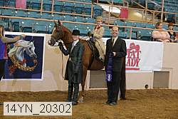 14yn_20302 thumbnail