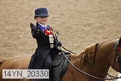 14yn_20330 thumbnail