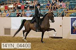 14yn_04400 thumbnail