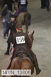 14yn_13806 thumbnail