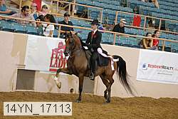 14yn_17113 thumbnail