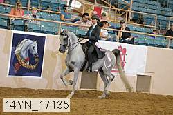 14yn_17135 thumbnail