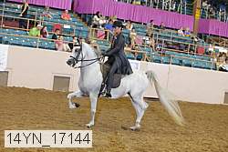 14yn_17144 thumbnail