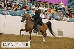 14yn_17190 thumbnail