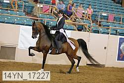 14yn_17227 thumbnail