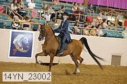 14yn_23002 thumbnail