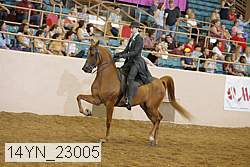 14yn_23005 thumbnail