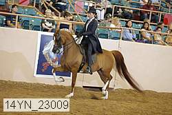 14yn_23009 thumbnail