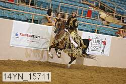 14yn_15711 thumbnail