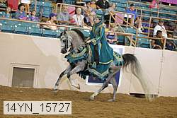 14yn_15727 thumbnail