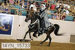 14yn_15733 thumbnail