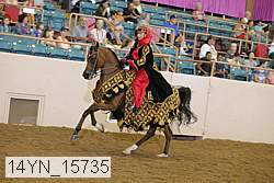 14yn_15735 thumbnail