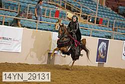 14yn_29131 thumbnail