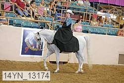 14yn_13174 thumbnail