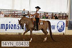 14yn_03433 thumbnail