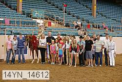 14yn_14612 thumbnail