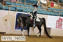 14yn_14635 thumbnail