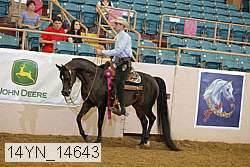 14yn_14643 thumbnail