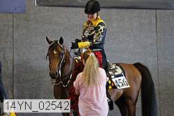 14yn_02542 thumbnail