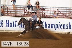 14yn_18928 thumbnail