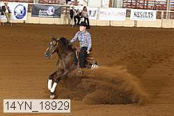 14yn_18929 thumbnail