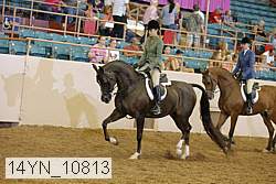 14yn_10813 thumbnail