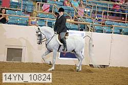14yn_10824 thumbnail