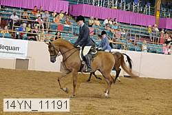 14yn_11191 thumbnail