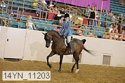 14yn_11203 thumbnail