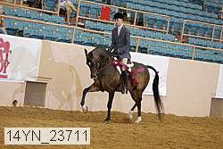 14yn_23711 thumbnail