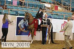 14yn_20010 thumbnail