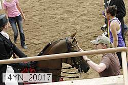14yn_20017 thumbnail