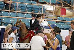 14yn_20028 thumbnail