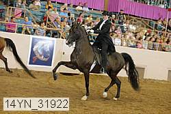 14yn_31922 thumbnail