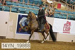 14yn_19868 thumbnail