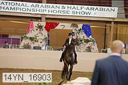 14yn_16903 thumbnail