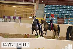 14yn_16910 thumbnail