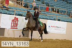 14yn_13163 thumbnail