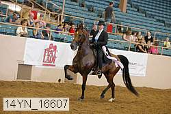 14yn_16607 thumbnail