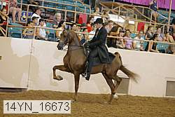 14yn_16673 thumbnail