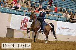 14yn_16702 thumbnail