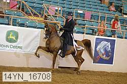14yn_16708 thumbnail