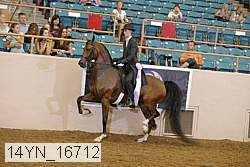 14yn_16712 thumbnail