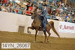 14yn_26067 thumbnail
