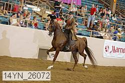 14yn_26072 thumbnail