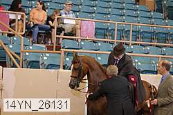 14yn_26131 thumbnail