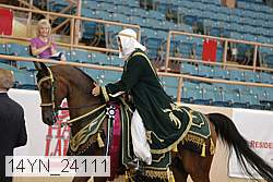 14yn_24111 thumbnail