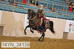 14yn_24139 thumbnail