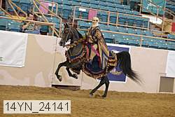 14yn_24141 thumbnail